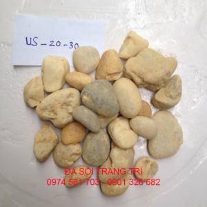 Sỏi tự nhiên các vàng