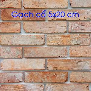 Gạch cổ cắt bìa 5X20