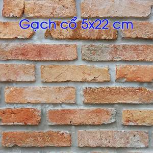 Gạch cổ cắt bìa 5X22