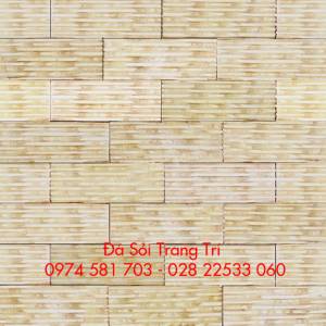 Đa răng lược vàng 10x20